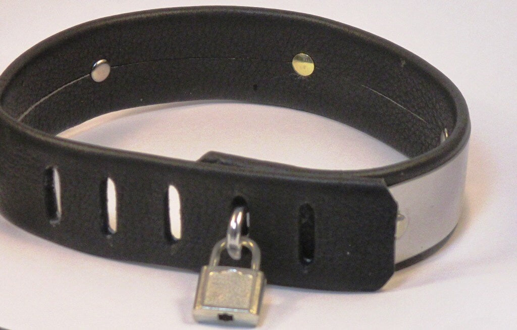 Stainless Steel Collar