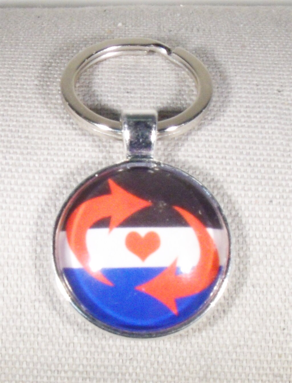 Switch Pride Key Ring