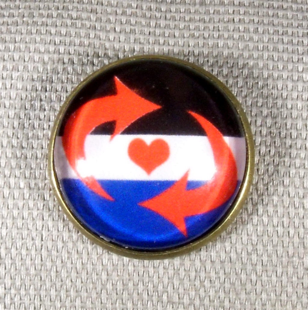 Switch Pride Pin