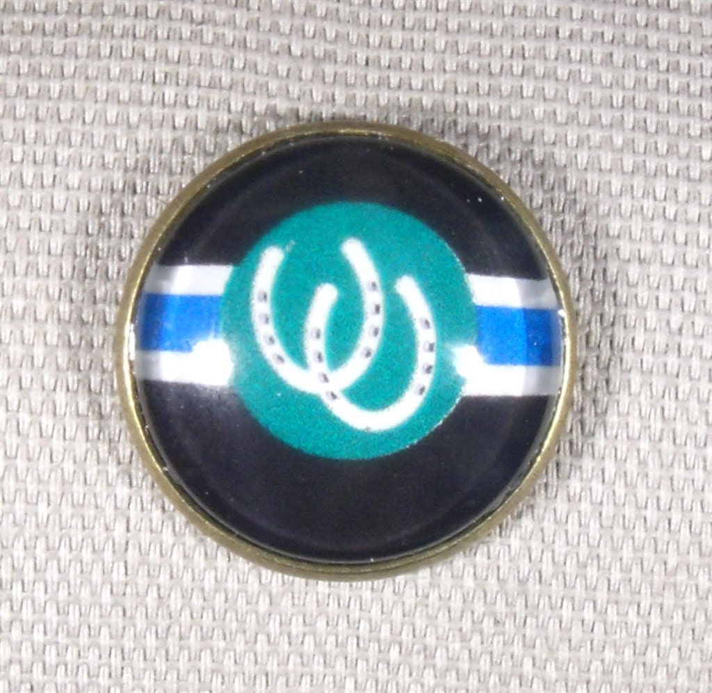 Pony Pride Pin