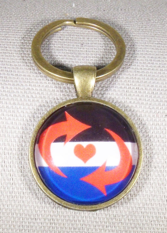 Switch Pride Key Ring