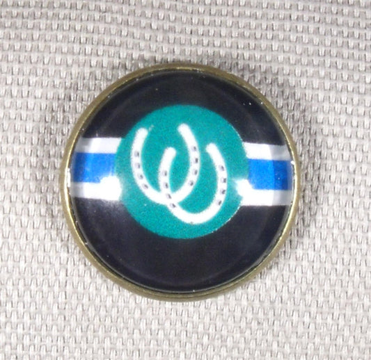 Pony Pride Pin
